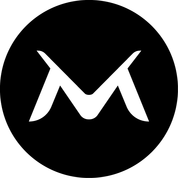 Via Mundi Logo